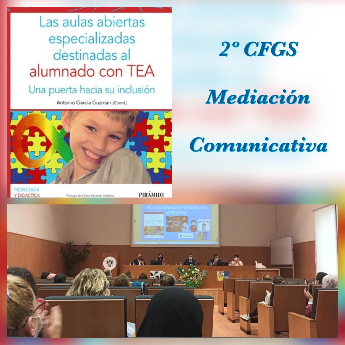 Mediacion TEA
